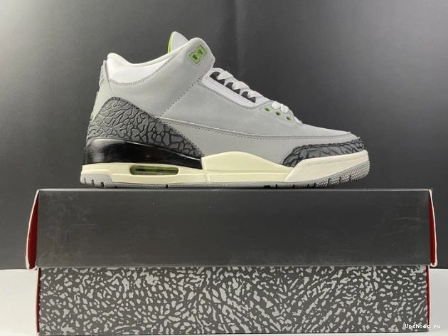 Retro Jordan 3 136064-006 Air Chlorophyll 1031